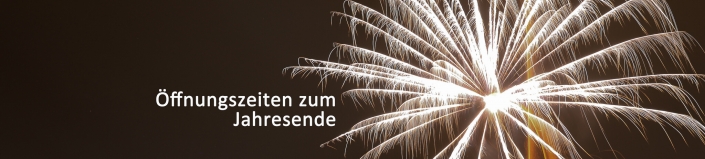 Vorlage Seitenbild Homepage-3